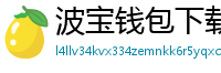 波宝钱包下载